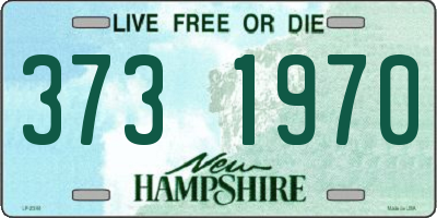 NH license plate 3731970