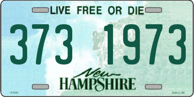 NH license plate 3731973