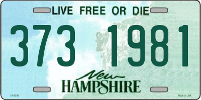NH license plate 3731981