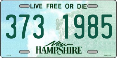 NH license plate 3731985
