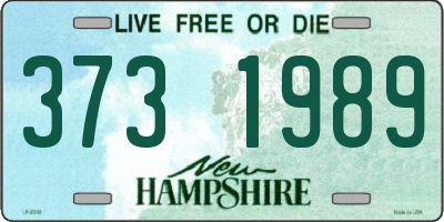 NH license plate 3731989