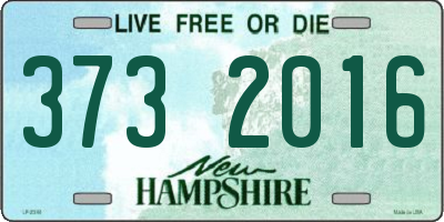 NH license plate 3732016