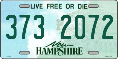 NH license plate 3732072