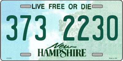 NH license plate 3732230