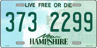 NH license plate 3732299