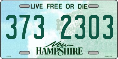 NH license plate 3732303