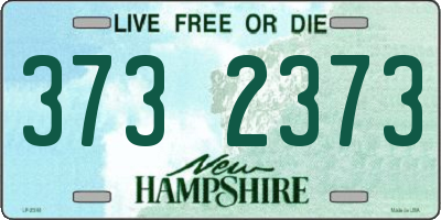 NH license plate 3732373