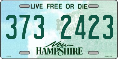 NH license plate 3732423