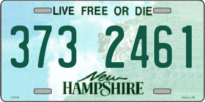 NH license plate 3732461