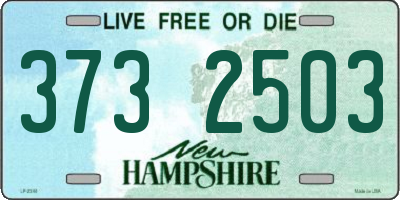 NH license plate 3732503