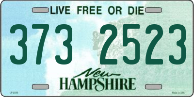 NH license plate 3732523
