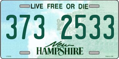 NH license plate 3732533
