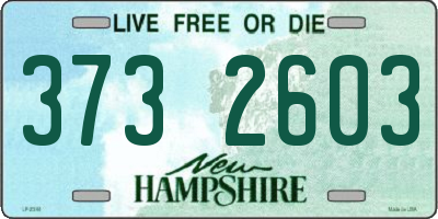 NH license plate 3732603