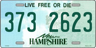 NH license plate 3732623