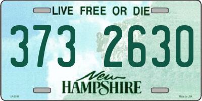 NH license plate 3732630