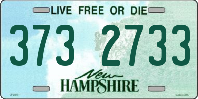 NH license plate 3732733