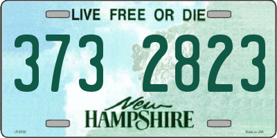 NH license plate 3732823