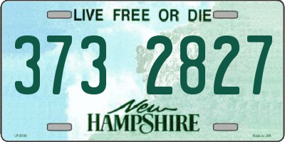 NH license plate 3732827