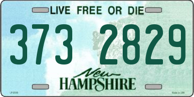 NH license plate 3732829