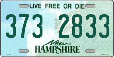 NH license plate 3732833
