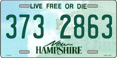 NH license plate 3732863