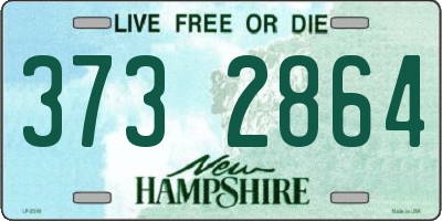NH license plate 3732864