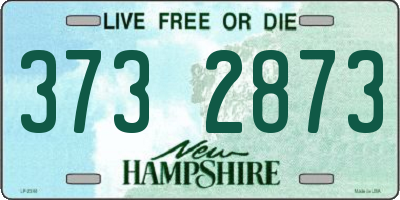 NH license plate 3732873