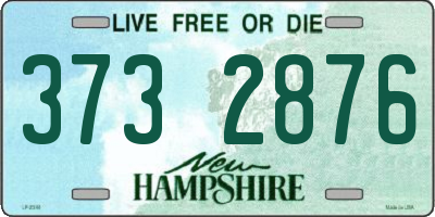 NH license plate 3732876