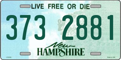 NH license plate 3732881