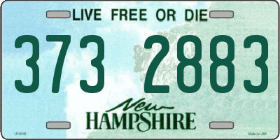 NH license plate 3732883