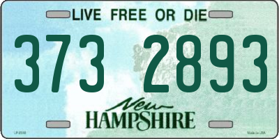 NH license plate 3732893