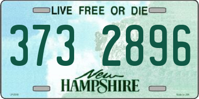 NH license plate 3732896