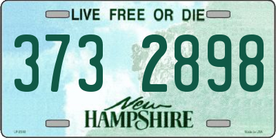 NH license plate 3732898