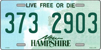 NH license plate 3732903