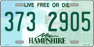 NH license plate 3732905