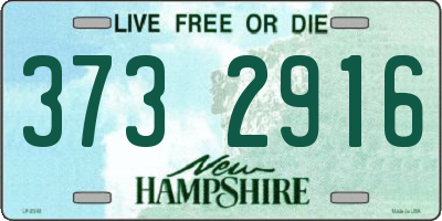 NH license plate 3732916