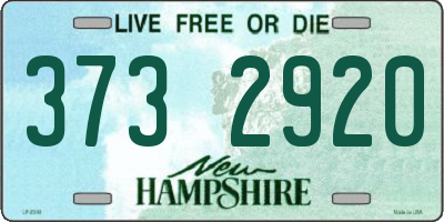 NH license plate 3732920