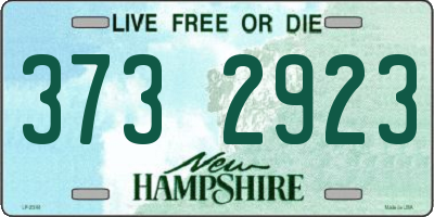 NH license plate 3732923
