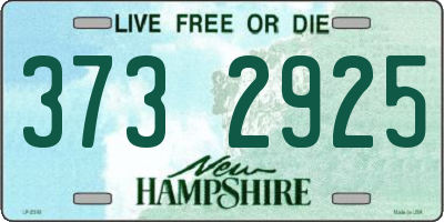 NH license plate 3732925