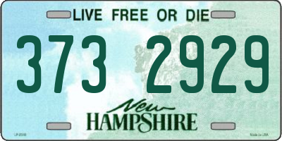 NH license plate 3732929