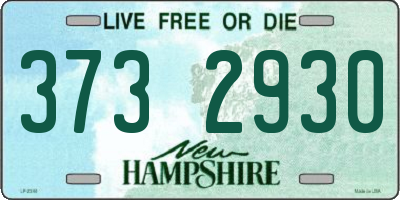 NH license plate 3732930