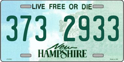 NH license plate 3732933
