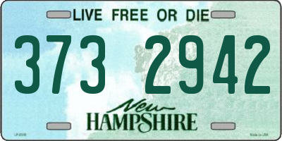 NH license plate 3732942