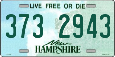 NH license plate 3732943