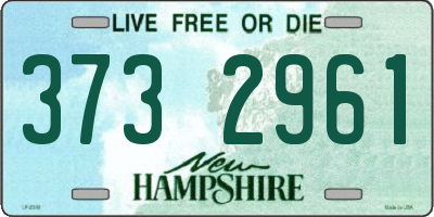 NH license plate 3732961