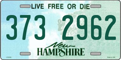 NH license plate 3732962