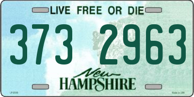 NH license plate 3732963
