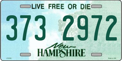 NH license plate 3732972