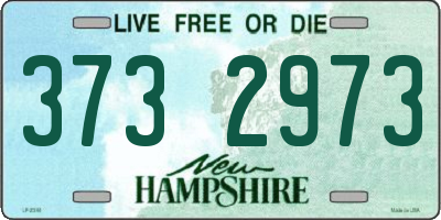 NH license plate 3732973