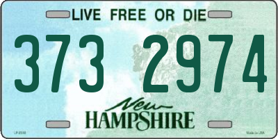 NH license plate 3732974